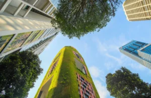 Árboles urbanos reduciendo el calor en una ciudad durante el verano