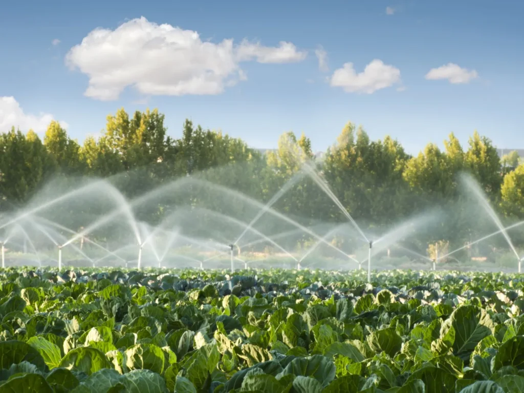 Sistema de riego inteligente con sensores de humedad y aplicación móvil controlando el consumo de agua en un jardín sostenible