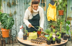 Jardín de bajo mantenimiento con diseño funcional y plantas resistentes