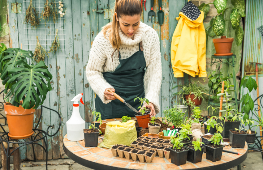 Jardín de bajo mantenimiento con diseño funcional y plantas resistentes